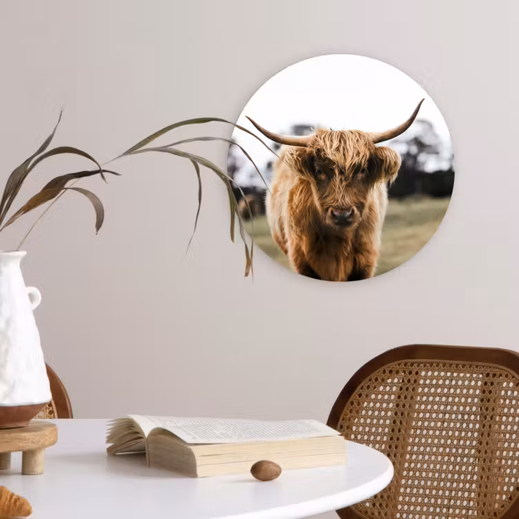 Schotse Hooglander - Koe - Gras - Dieren - Natuur Wandcirkel kunststof plaat 5mm dik klein -sfeer4