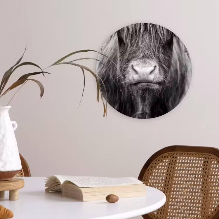 Schotse hooglander - Koe - Zwart - Wit - Dieren Wandcirkel kunststof plaat 5mm dik klein -sfeer4
