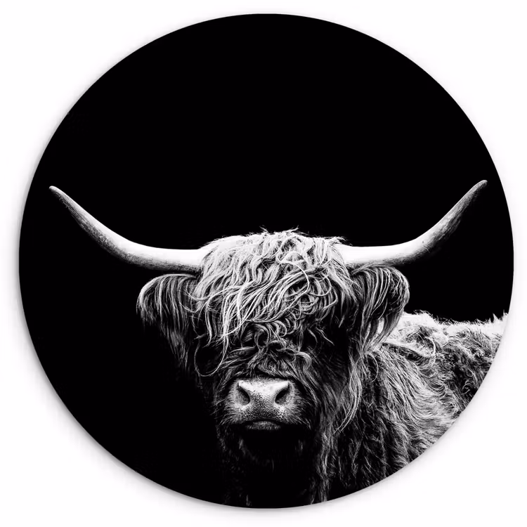 Schotse Hooglander - Koe - Zwart - Wit - Dieren Wandcirkel kunststof plaat 5mm dik klein -3d