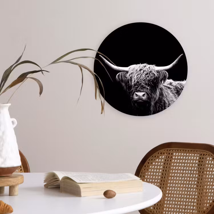 Schotse Hooglander - Koe - Zwart - Wit - Dieren Wandcirkel kunststof plaat 5mm dik klein -sfeer4