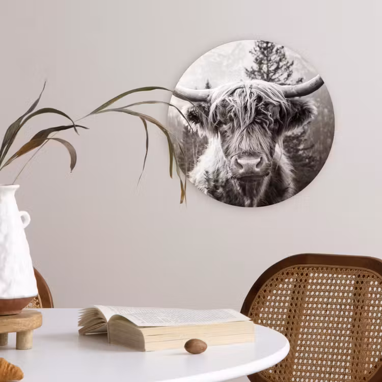 Schotse hooglander - Koe - Dieren - Zwart - Wit Wandcirkel kunststof plaat 5mm dik klein -sfeer4