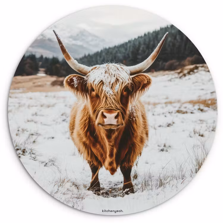 Schotse Hooglander - Sneeuw - Winter - Dieren Wandcirkel kunststof plaat 5mm dik klein -3d