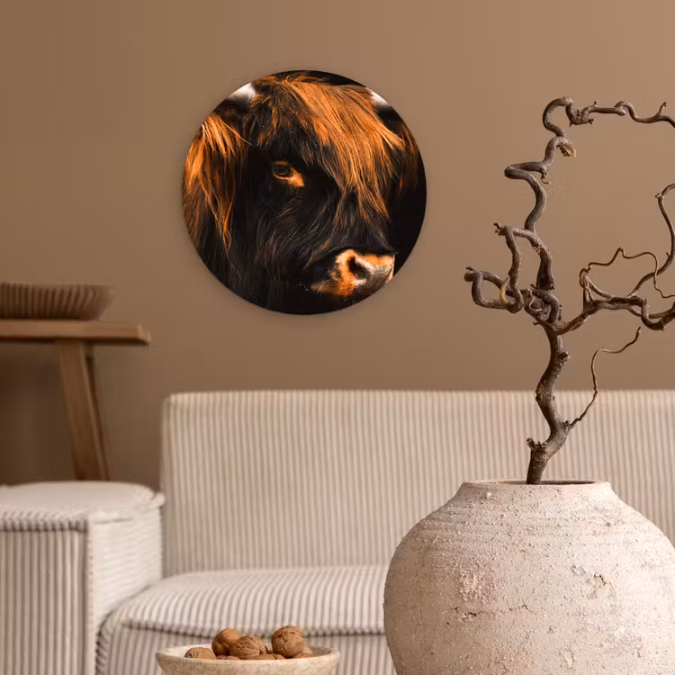 Schotse hooglander - Zwart - Koe - Hoorn - Dieren Wandcirkel kunststof plaat 5mm dik klein -sfeer1