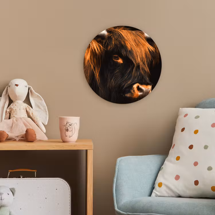 Schotse hooglander - Zwart - Koe - Hoorn - Dieren Wandcirkel kunststof plaat 5mm dik klein -tsfeer1_kind