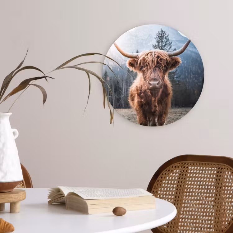 Schotse hooglander - Koe - Dieren - Berg - Natuur Wandcirkel kunststof plaat 5mm dik klein -sfeer4