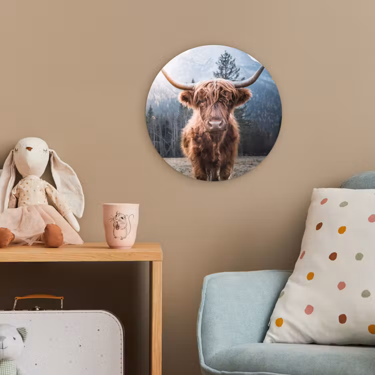 Schotse hooglander - Koe - Dieren - Berg - Natuur Wandcirkel kunststof plaat 5mm dik klein -tsfeer1_kind