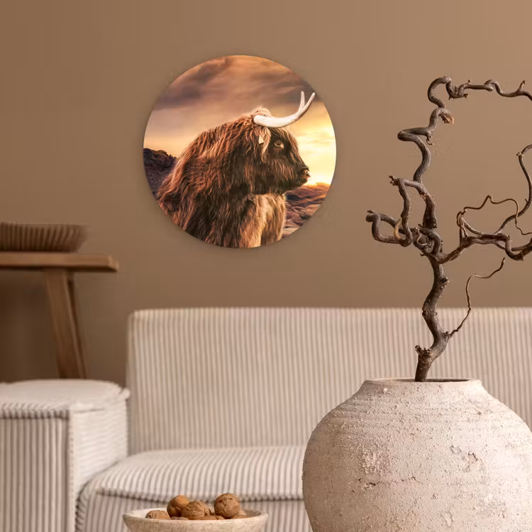 Schotse hooglander - Zon - Horizon - Koe - Dieren Wandcirkel kunststof plaat 5mm dik klein -sfeer1
