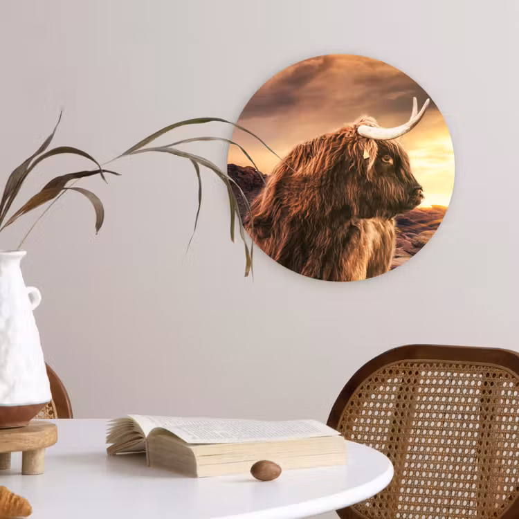 Schotse hooglander - Zon - Horizon - Koe - Dieren Wandcirkel kunststof plaat 5mm dik klein -sfeer4