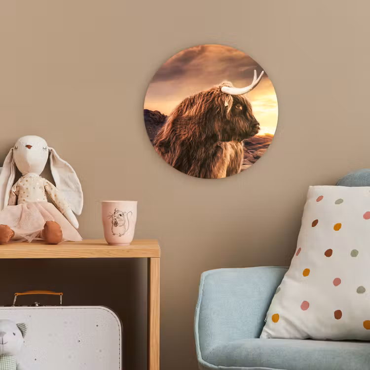 Schotse hooglander - Zon - Horizon - Koe - Dieren Wandcirkel kunststof plaat 5mm dik klein -tsfeer1_kind