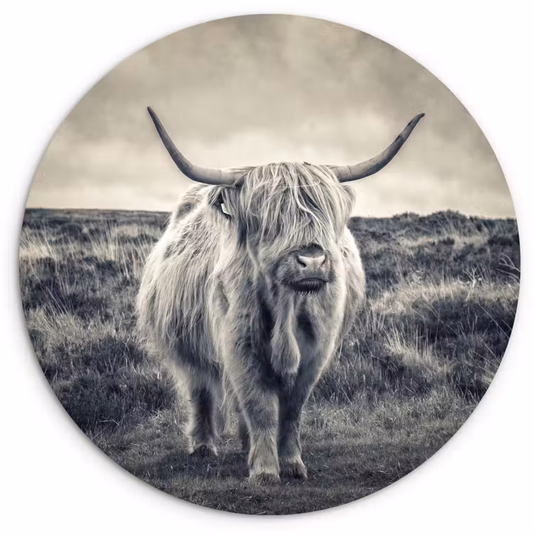 Schotse hooglander - Dieren - Wolken - Koe - Natuur Wandcirkel kunststof plaat 5mm dik klein -3d