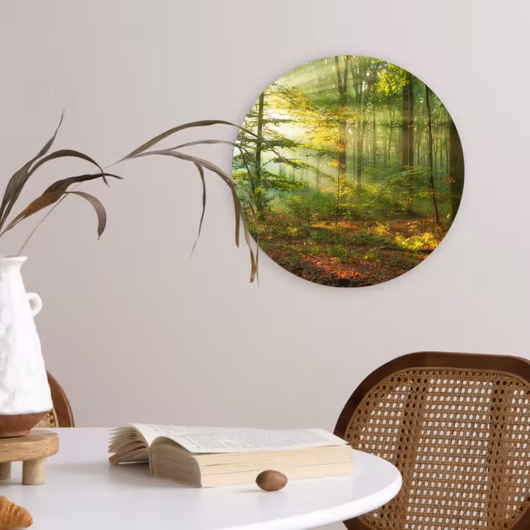 Zon - Bos - Bomen - Natuur - Herfst Wandcirkel kunststof plaat 5mm dik klein -sfeer4