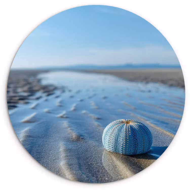 Strand - Schild - Water - Blauw Wandcirkel kunststof plaat 5mm dik klein -3d