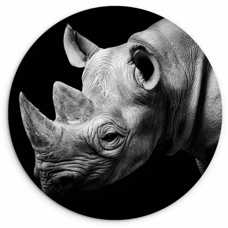 Dieren - Neushoorn - Zwart - Wit - Portret Wandcirkel kunststof plaat 5mm dik klein -3d