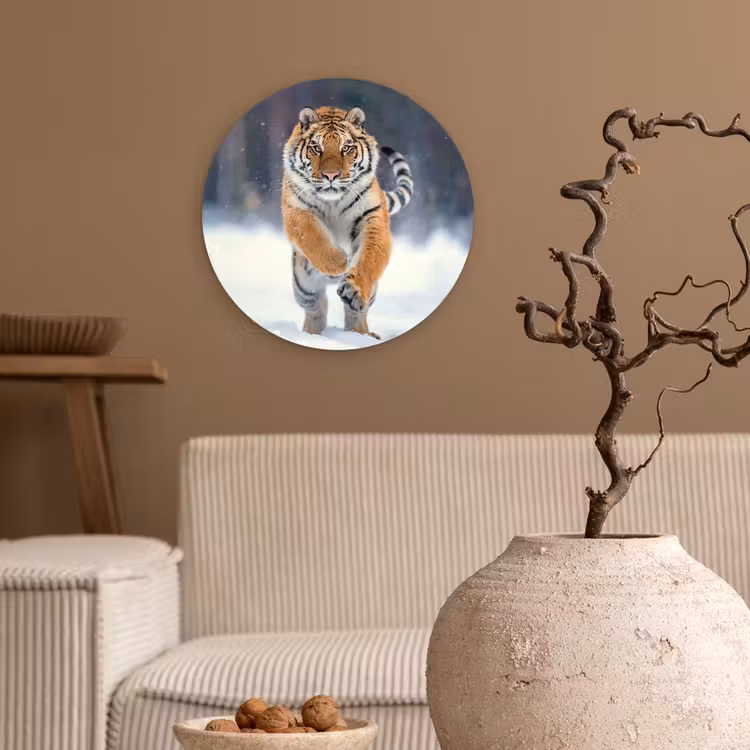 Tijger - Landschap - Sneeuw - Winter - Dieren Wandcirkel kunststof plaat 5mm dik klein -sfeer1