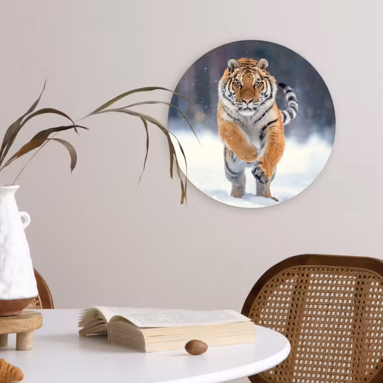 Tijger - Landschap - Sneeuw - Winter - Dieren Wandcirkel kunststof plaat 5mm dik klein -sfeer4