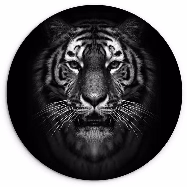 Tijger - Dieren - Zwart - Wit - Portret - Wild Wandcirkel kunststof plaat 5mm dik klein -3d