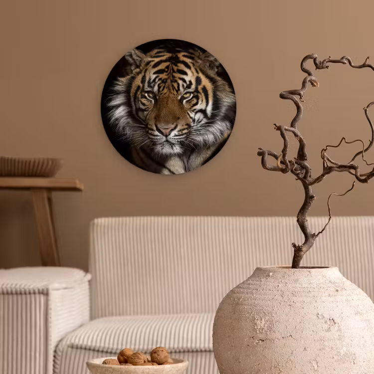 Tijger - Wilde dieren - Portret Wandcirkel kunststof plaat 5mm dik klein -sfeer1