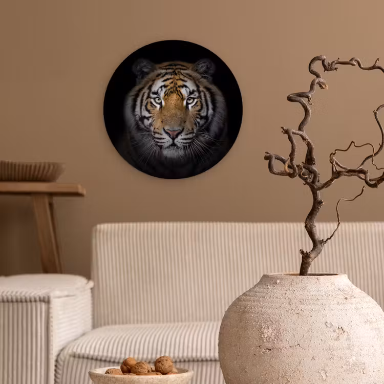 Tijger - Wilde dieren - Portret - Zwart - Dieren Wandcirkel kunststof plaat 5mm dik klein -sfeer1