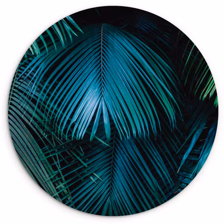 Inductie beschermer - Inductie afdekplaat - Tropical - Jungle - Bladeren - Groen Wandcirkel kunststof plaat 5mm dik klein -3d