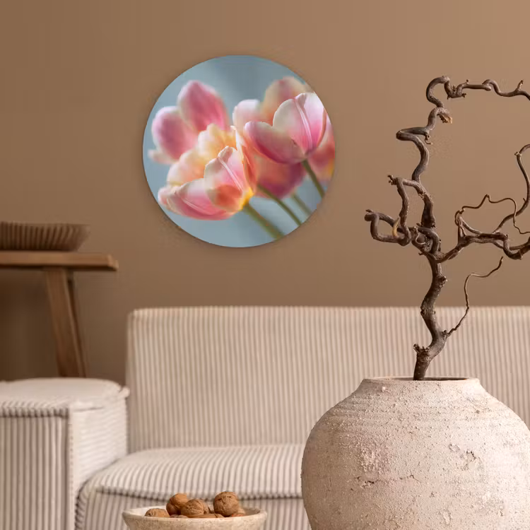 Tulpen - Roze - Stelen Wandcirkel kunststof plaat 5mm dik klein -sfeer1