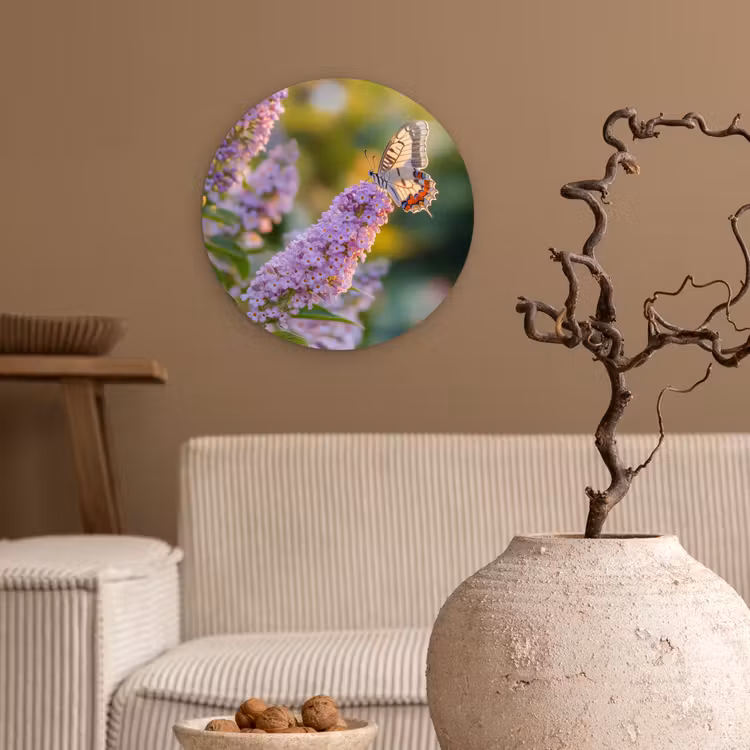 Sierlijke - Vlinder - Paarse - Bloemen Wandcirkel kunststof plaat 5mm dik klein -sfeer1