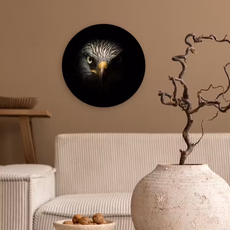Vogel - Adelaar - Roofvogels - Oog - Snavel - Licht Wandcirkel kunststof plaat 5mm dik klein -sfeer1