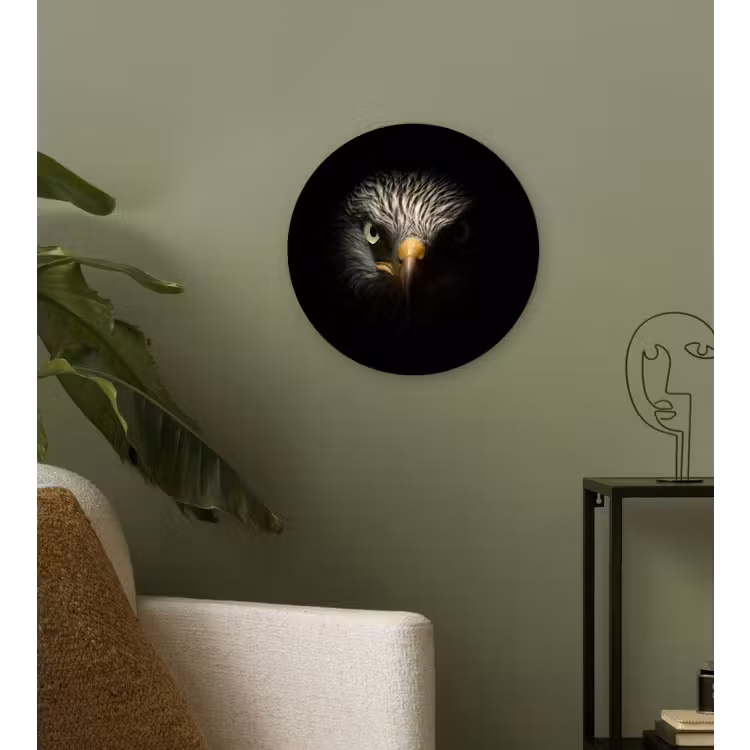 Vogel - Adelaar - Roofvogels - Oog - Snavel - Licht Wandcirkel kunststof plaat 5mm dik klein -sfeer3
