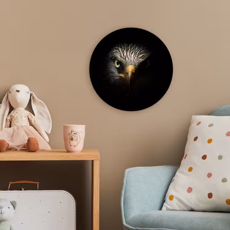 Vogel - Adelaar - Roofvogels - Oog - Snavel - Licht Wandcirkel kunststof plaat 5mm dik klein -tsfeer1_kind