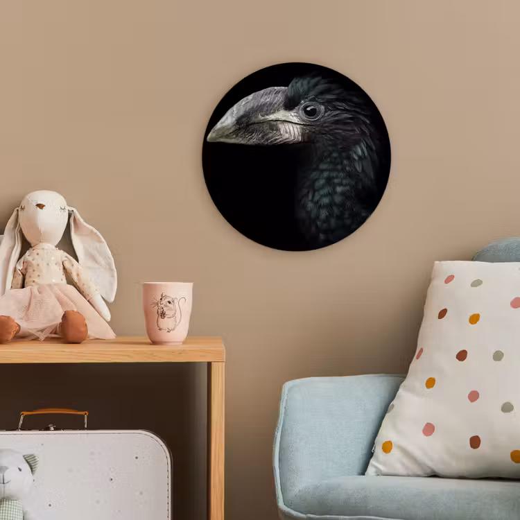 Vogel - Portret - Neushoornvogel - Zwart - Dieren Wandcirkel kunststof plaat 5mm dik klein -tsfeer1_kind