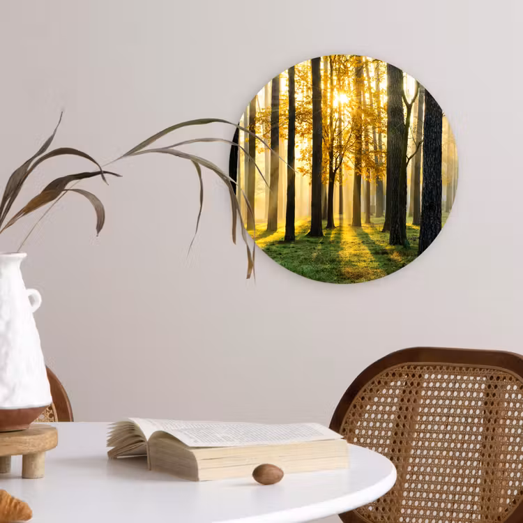 Bos - Zon - Bomen - Gras - Landschap - Natuur Wandcirkel kunststof plaat 5mm dik klein -sfeer4