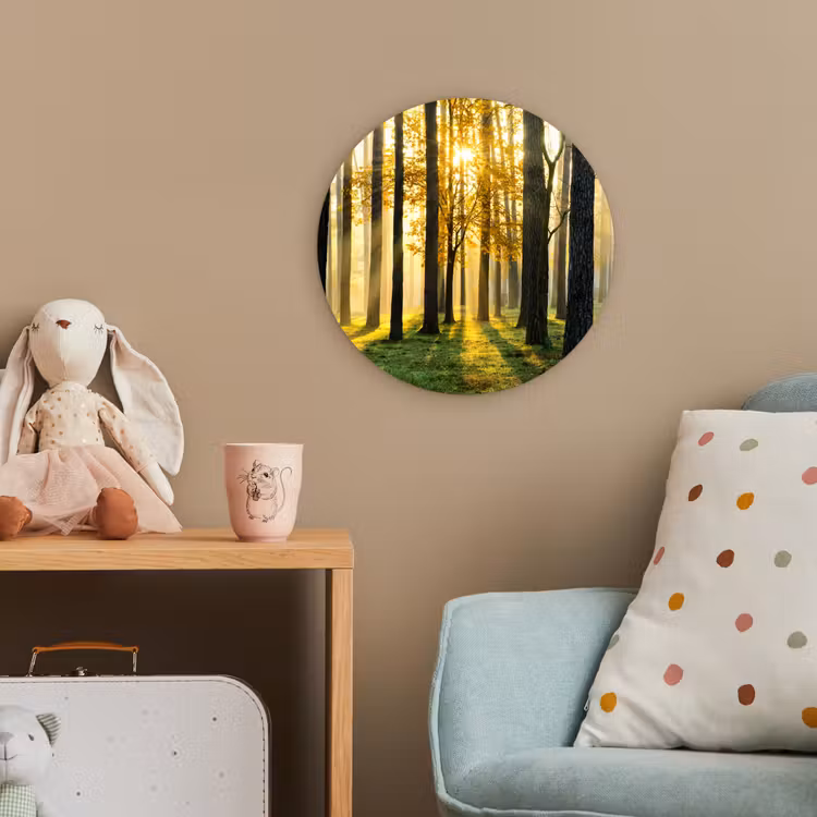 Bos - Zon - Bomen - Gras - Landschap - Natuur Wandcirkel kunststof plaat 5mm dik klein -tsfeer1_kind