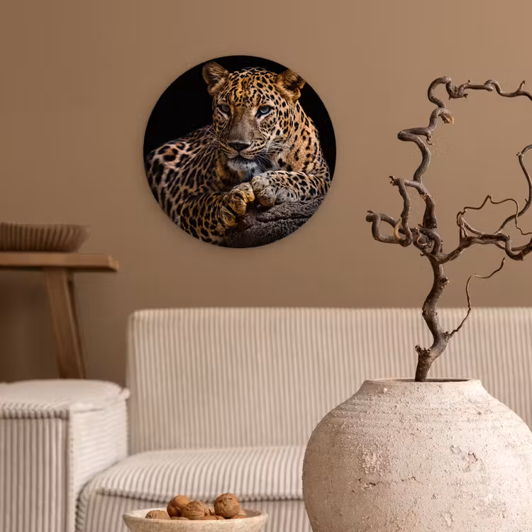 Wilde dieren - Panter - Portret - Zwart - Dieren Wandcirkel kunststof plaat 5mm dik klein -sfeer1