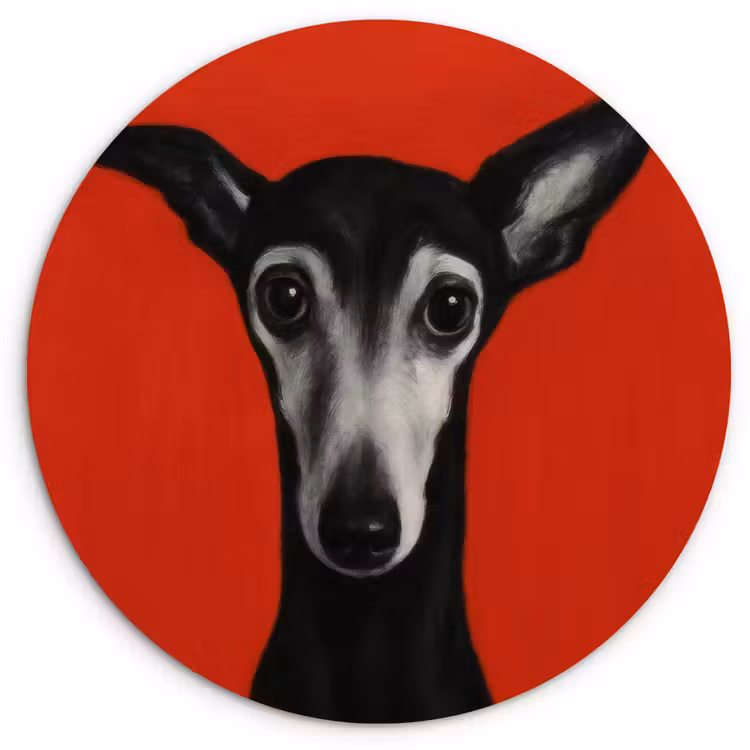 Windhond - Minimalistisch - Rood Wandcirkel kunststof plaat 5mm dik klein -3d