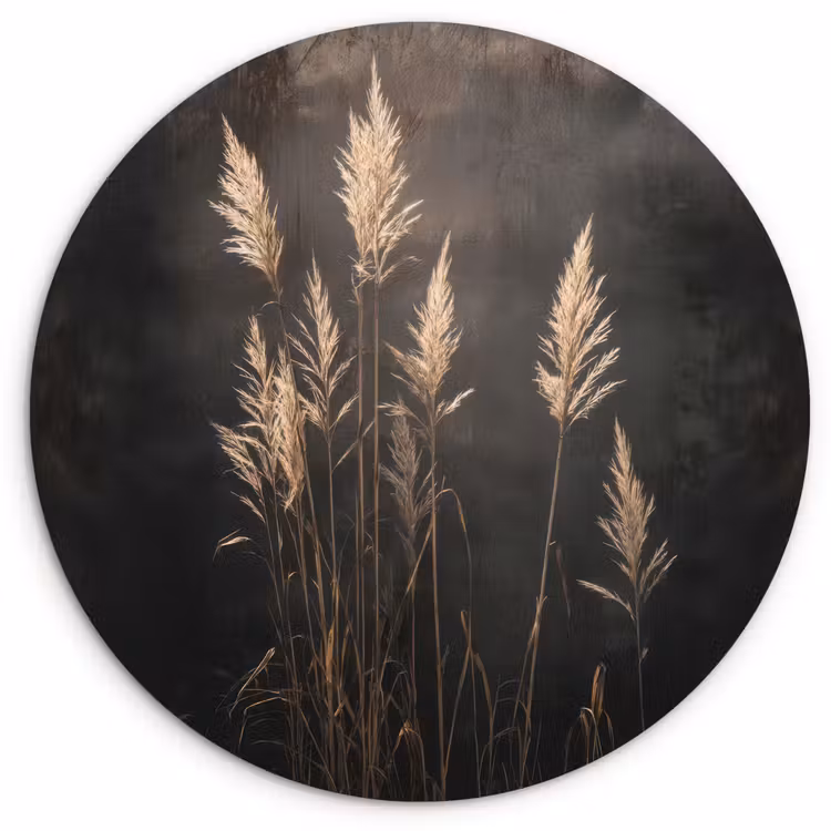 Siergras - Pluimen - Verlichting - Zwart Wandcirkel kunststof plaat 5mm dik klein -3d