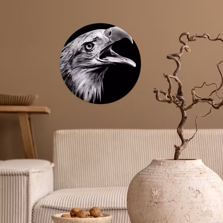 Adelaar - Portret - Roofvogels - Zwart - Wit - Vogel Wandcirkel behangsticker klein -sfeer1