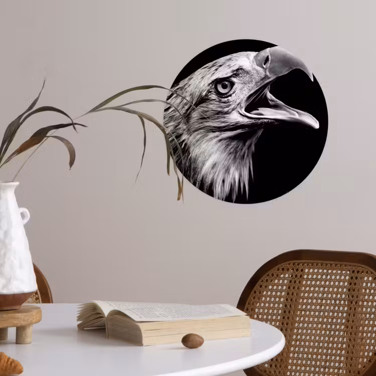 Adelaar - Portret - Roofvogels - Zwart - Wit - Vogel Wandcirkel behangsticker klein -sfeer3