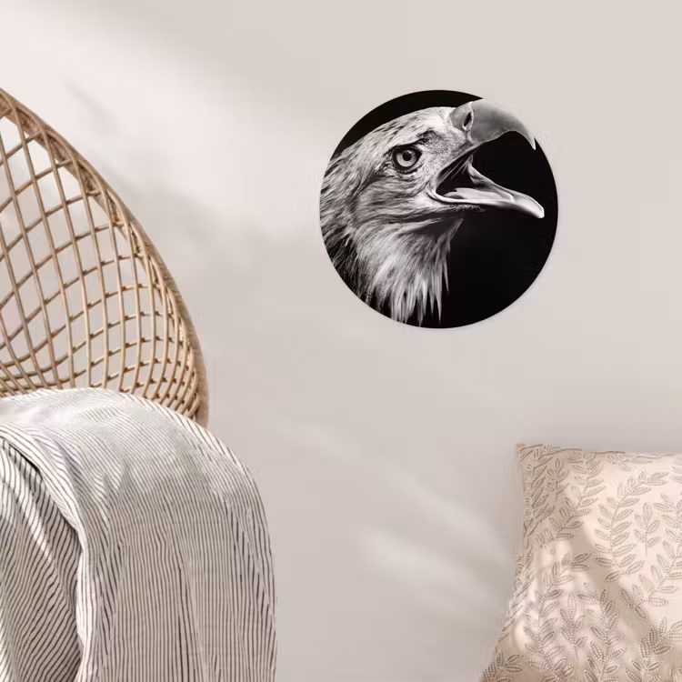 Adelaar - Portret - Roofvogels - Zwart - Wit - Vogel Wandcirkel behangsticker klein -sfeer4