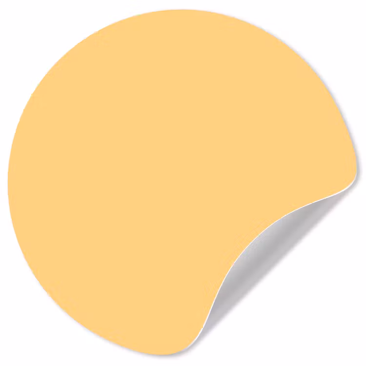 Apricot - Ice - Oranje Wandcirkel behangsticker klein 186 -3d