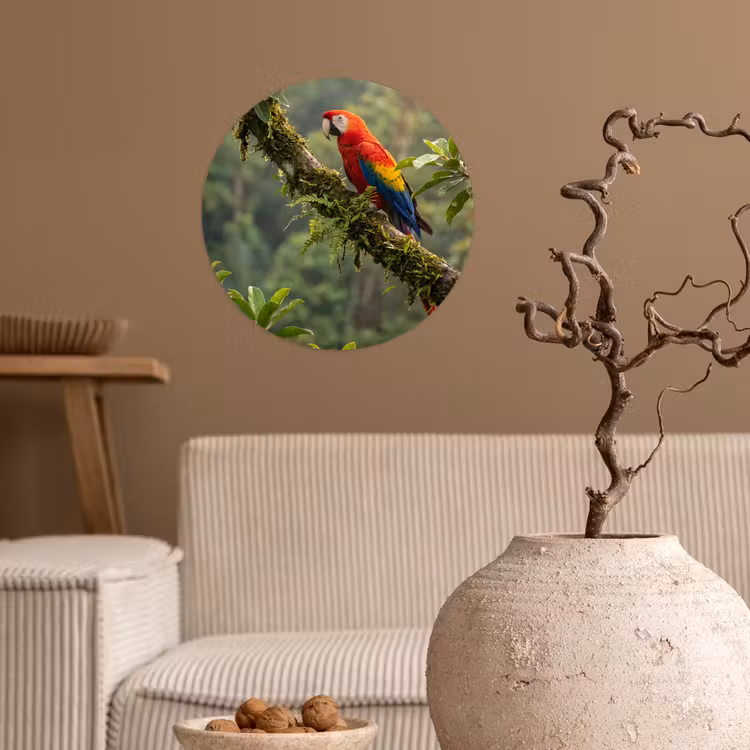 Ara - Jungle - Rood Wandcirkel behangsticker klein -sfeer1