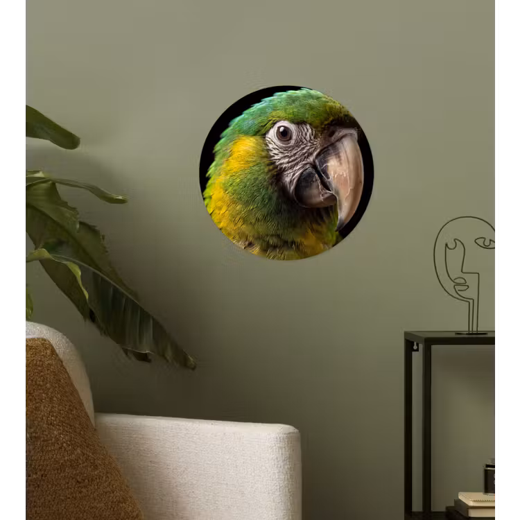 Ara - Portret - Groen Wandcirkel behangsticker klein -sfeer2