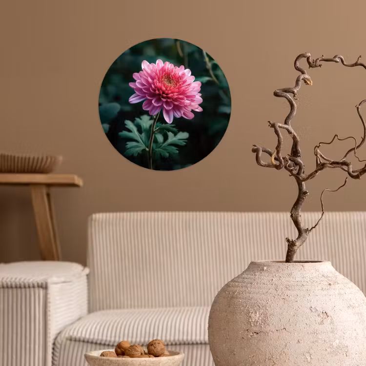 Blad - Chrysant - Roze - Schaduw Wandcirkel behangsticker klein -sfeer1