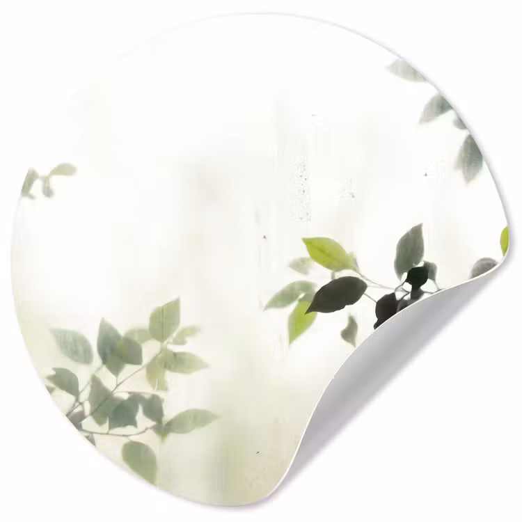 Blad - Schaduw - Natuur - Abstract - Groen Wandcirkel behangsticker klein -3d