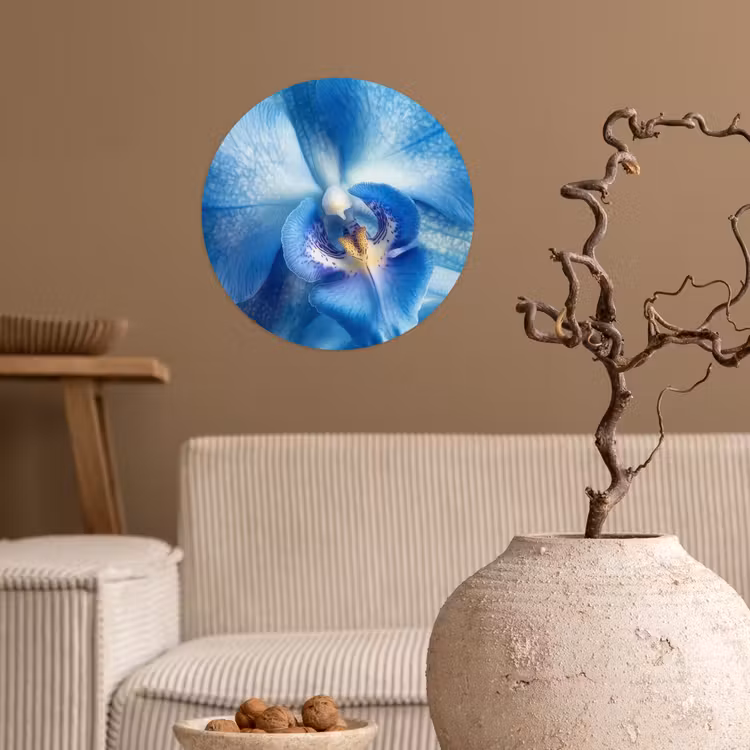 Blauw - Orchidee - Elegeant Wandcirkel behangsticker klein -sfeer1