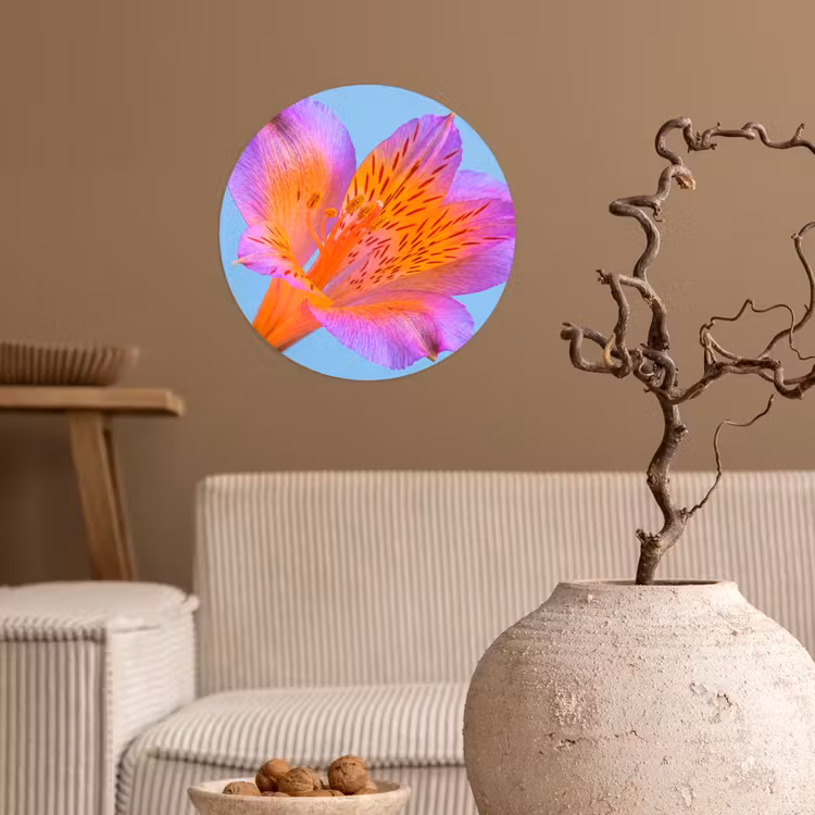 Bloem - Detail - Kleurrijk Wandcirkel behangsticker klein -sfeer1