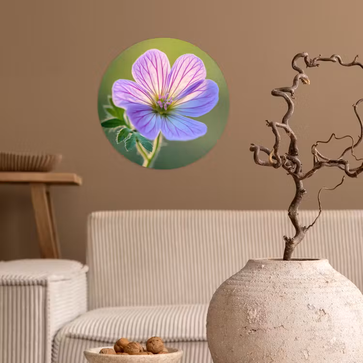 Bloem - Close up - Paars Wandcirkel behangsticker klein -sfeer1