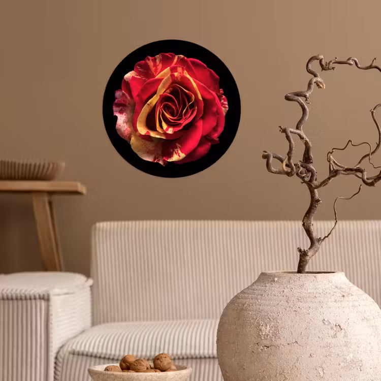 Bloem - Roos - Rood - Zwart Wandcirkel behangsticker klein -sfeer1
