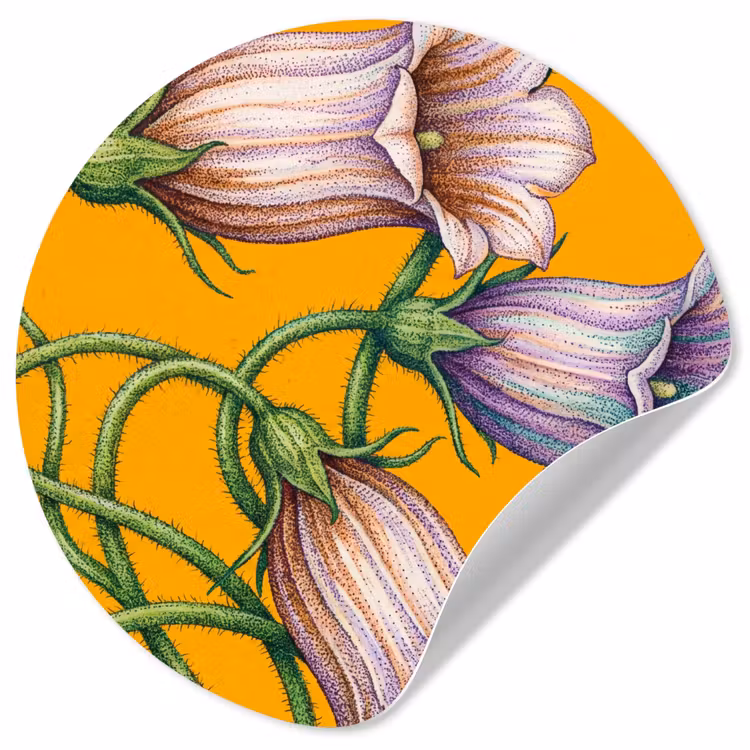 Runde Tapete - Blumen – Botanik – Gelb - Bloemen - Botanisch - Geel Wandcirkel behangsticker klein