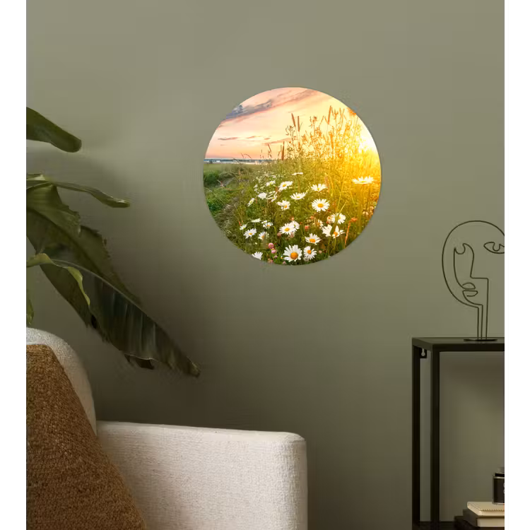 Bloemen - Madelief - Natuur - Zon - Horizon Wandcirkel behangsticker klein -sfeer2