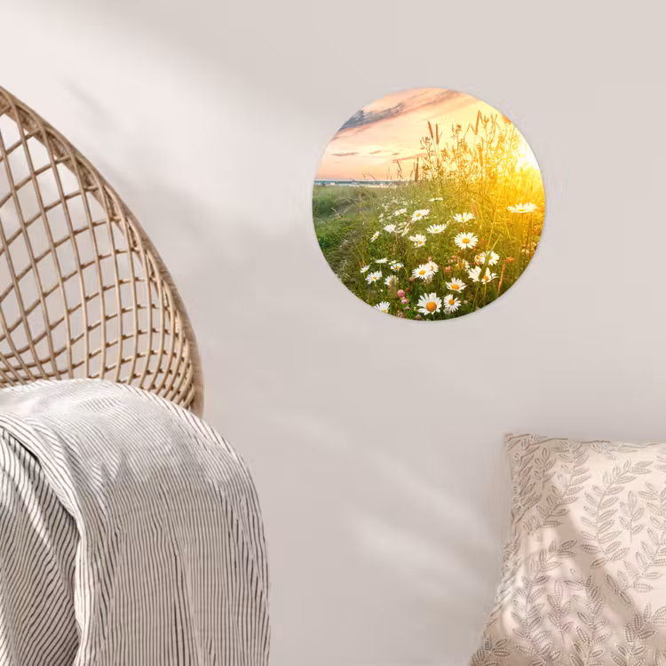 Bloemen - Madelief - Natuur - Zon - Horizon Wandcirkel behangsticker klein -sfeer4