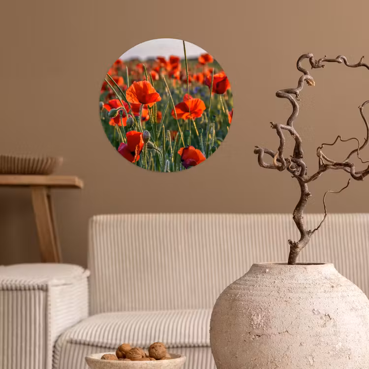 Bloemen - Klaprozen - Natuur - Rood Wandcirkel behangsticker klein -sfeer1